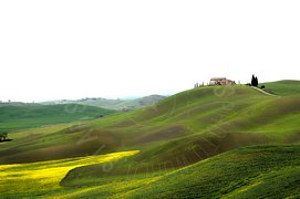 Colline verdi con fiori gialli