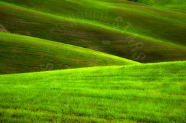 Colline verdi